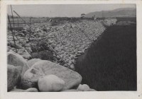 登錄號:2008.001.1055藏品圖，第1張