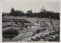 登錄號:2008.001.1063藏品圖，第1張