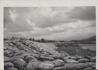 登錄號:2008.001.1086藏品圖，第1張