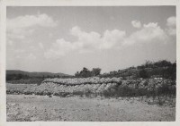 登錄號:2008.001.1088藏品圖，第1張