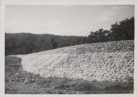 登錄號:2008.001.1102藏品圖，第1張