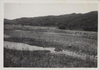 登錄號:2008.001.1129藏品圖，第1張