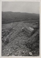 登錄號:2008.001.1131藏品圖，第1張