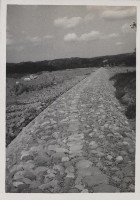 登錄號:2008.001.1135藏品圖，第1張