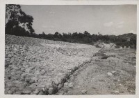 登錄號:2008.001.1141藏品圖，第1張