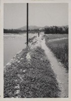 登錄號:2008.001.1142藏品圖，第1張