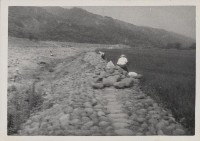 登錄號:2008.001.1146藏品圖，第1張