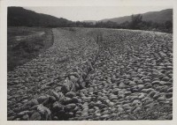 登錄號:2008.001.1147藏品圖，第1張