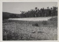 登錄號:2008.001.1150藏品圖，第1張