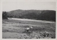 登錄號:2008.001.1153藏品圖，第1張