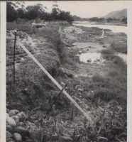 登錄號:2008.001.1172藏品圖，第1張