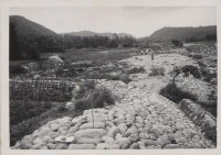 登錄號:2008.001.1183藏品圖，第1張