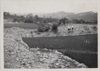 登錄號:2008.001.1192藏品圖，第1張