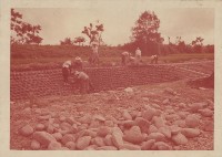 登錄號:2008.001.1196藏品圖，第1張