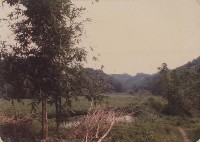 登錄號:2008.001.1385藏品圖，第1張