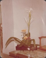 登錄號:2008.001.1495藏品圖，第1張