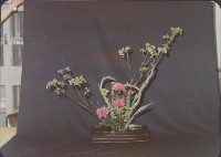 登錄號:2008.001.1498藏品圖，第1張