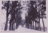 登錄號:2008.001.2390藏品圖，第1張