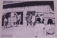 登錄號:2008.001.2396藏品圖，第1張