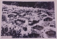 登錄號:2008.001.2409藏品圖，第1張