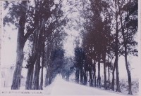 登錄號:2008.001.2418藏品圖，第1張