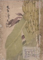 臺灣大觀(昭和10年)藏品圖，第1張