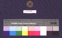 光緒通寶藏品圖，第1張