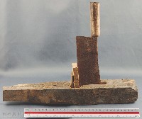 苧麻刀藏品圖，第1張
