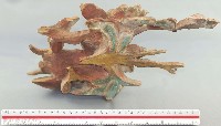 神龕內木雕零件藏品圖，第2張