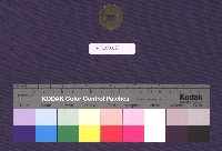 雍正通寶藏品圖，第2張