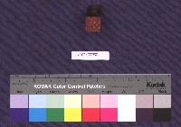 緘信封用老印藏品圖，第2張