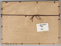 鄧南光攝影：戲棚下打拳頭賣藥藏品圖，第2張