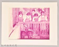 餵食豬藏品圖，第1張