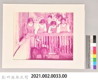 餵食豬藏品圖，第3張