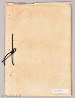 〈狂った氣節（先生媽）〉藏品圖，第2張