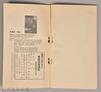 《東南亞漫遊記》藏品圖，第5張