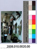 泰崗部落以凡開的文物館藏品圖，第2張