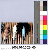 泰崗部落族人的文物館藏品圖，第2張