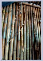 泰崗部落之弓箭藏品圖，第1張