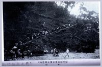 理蕃志稿老照片─隘勇線前進並蕃社膺懲情況其四（輸送）藏品圖，第1張