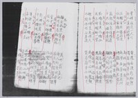 林柏燕輯註：「大新吟社」原稿複印本─九藏品圖，第13張
