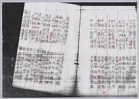 林柏燕輯註：「大新吟社」原稿複印本─九藏品圖，第18張