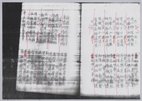 林柏燕輯註：「大新吟社」原稿複印本─九藏品圖，第19張