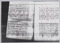 林柏燕輯註：「大新吟社」原稿複印本─九藏品圖，第21張