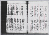 林柏燕輯註：「大新吟社」原稿複印本─十四藏品圖，第9張