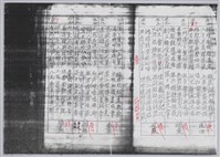 林柏燕輯註：「大新吟社」原稿複印本─四十四藏品圖，第3張