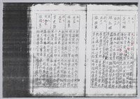 林柏燕輯註：「大新吟社」原稿複印本─五十三藏品圖，第4張