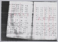 林柏燕輯註：「大新吟社」原稿複印本─八十二藏品圖，第9張