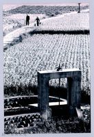 鄧雨賢相關照片21：水汴頭藏品圖，第1張