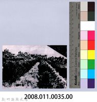 鄧雨賢相關照片26：茶園藏品圖，第2張